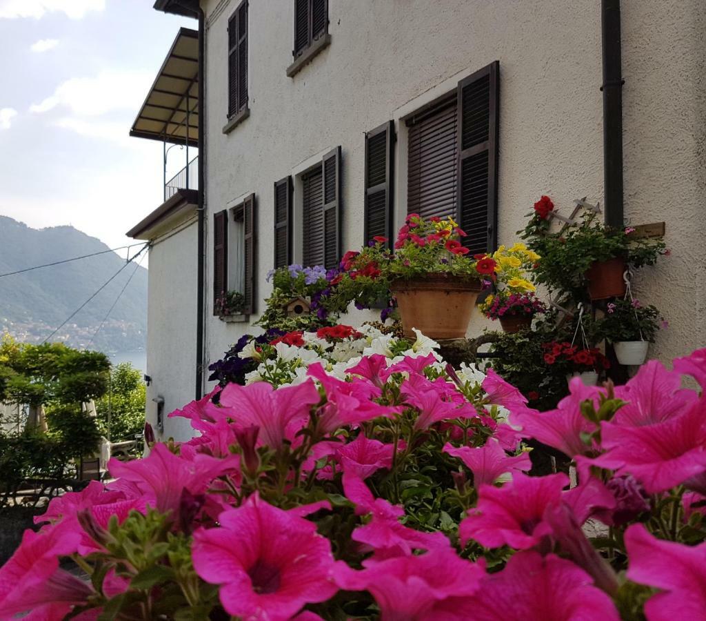 Flora Apartment Moltrasio Exterior photo